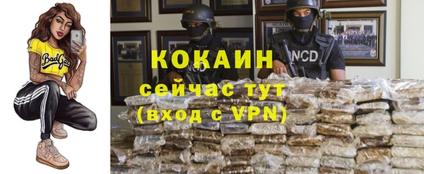 спайс Алексин