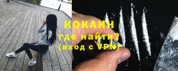 спайс Алексин